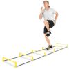 Raised Agility Ladder