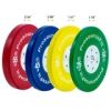 Color Training Bumper Plate